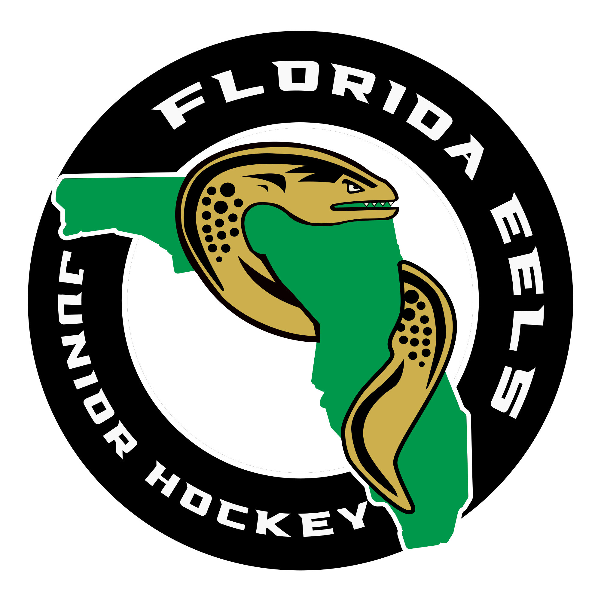 Florida Eels Premier and Elite Face-Off Against the Palm Beach Typhoon This Weekend – Home and Away Series